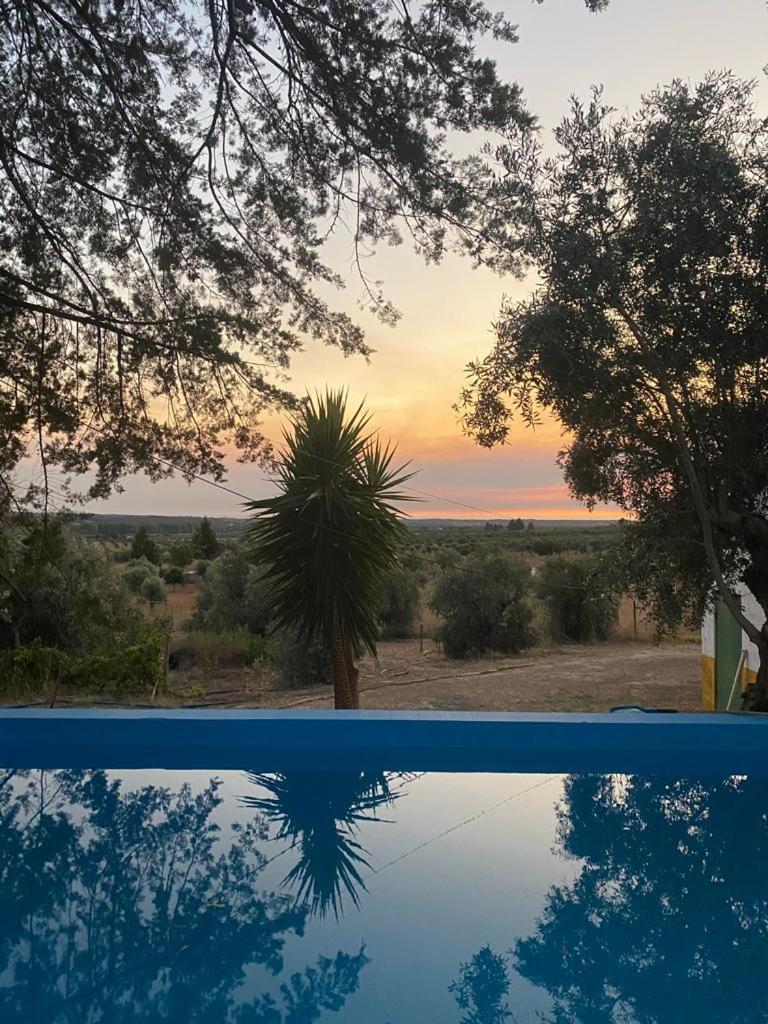 Monte Da Samarra Villa Avis Eksteriør billede
